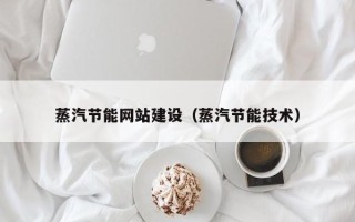那曲蒸汽节能网站建设（蒸汽节能技术）